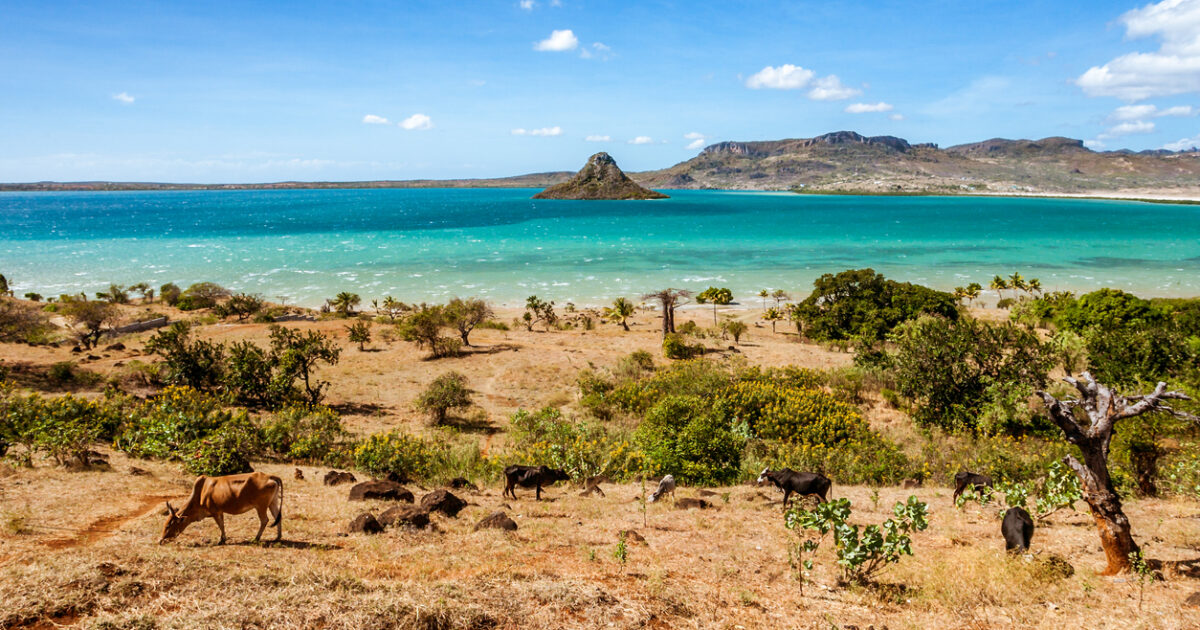 Madagascar, la magnifica isola-continente