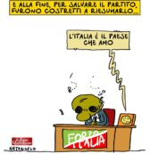 Copertina di La ridiscesa in campo