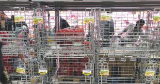 Copertina di Ecco l’Italia che sta scivolando nel discount