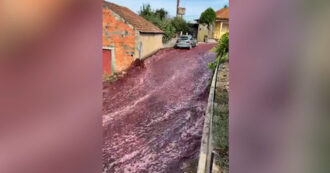 Copertina di Fiumi di vino rosso inondano le strade: che cosa è successo in un paese del Portogallo – Video