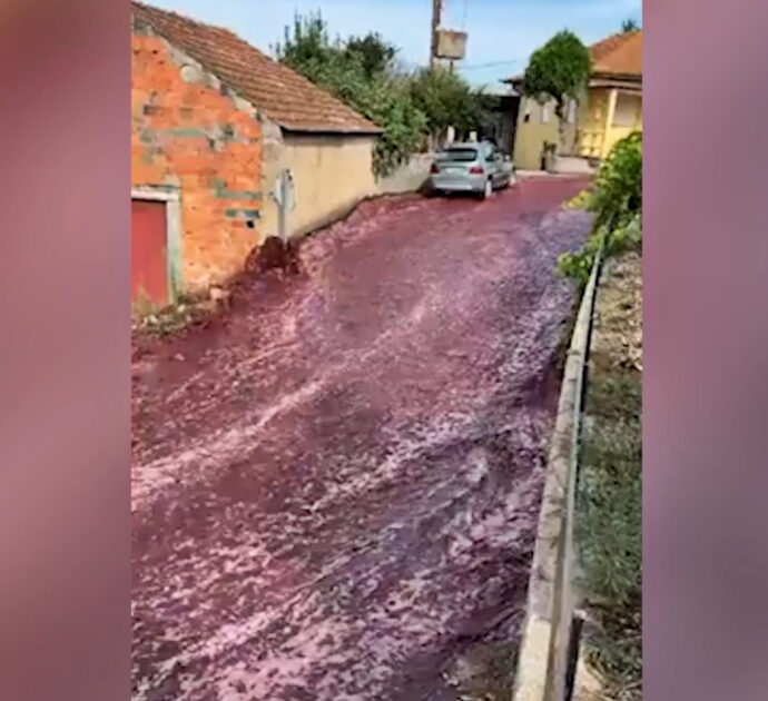 Fiumi di vino rosso inondano le strade: che cosa è successo in un paese del Portogallo – Video