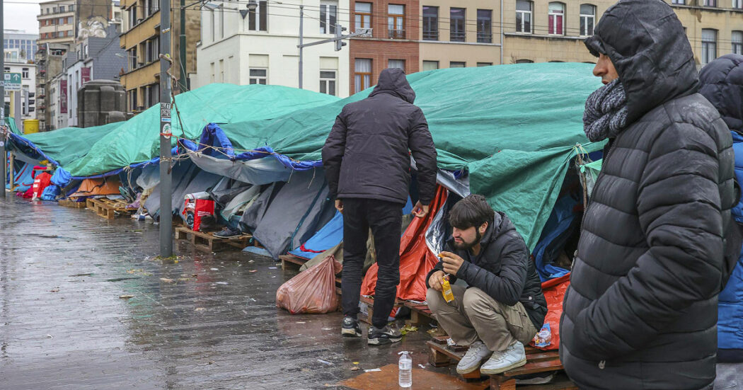 Migranti in Belgio, richiedenti maschi soli esclusi dall’accoglienza mentre il sistema produttivo chiede di assumere anche gli irregolari