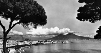 Copertina di Platani e lecci al posto dei pini marittimi, così cambierà la “cartolina” di Napoli