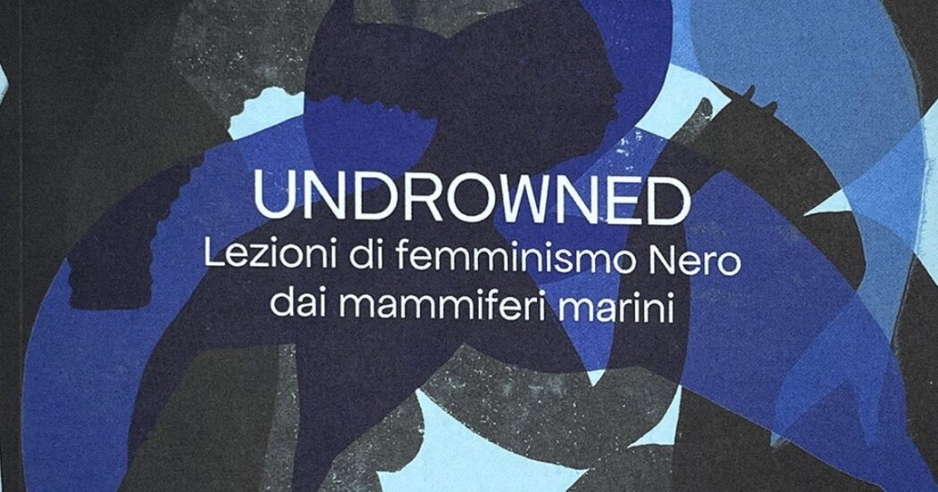 “Undrowned. Lezioni di femminismo Nero dai mammiferi marini”: il manuale di sopravvivenza per un approccio poetico e politico al futuro