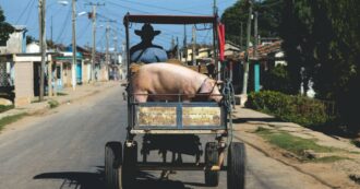 In coda a Cuba per comprare carne scontata quasi scaduta