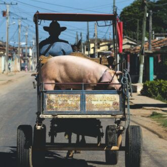 Copertina di In coda a Cuba per comprare carne scontata quasi scaduta