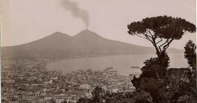 Napoli non deve cambiare o forse sì, perché l’addio al pino marittimo è inevitabile