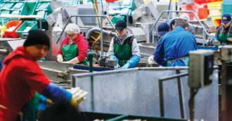 Copertina di Contrasto al lavoro nero: in Europa si fa meglio