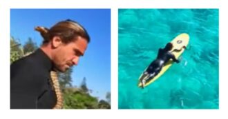 Copertina di Surfista nuota con il suo pitone: accusato dagli animalisti e multato
