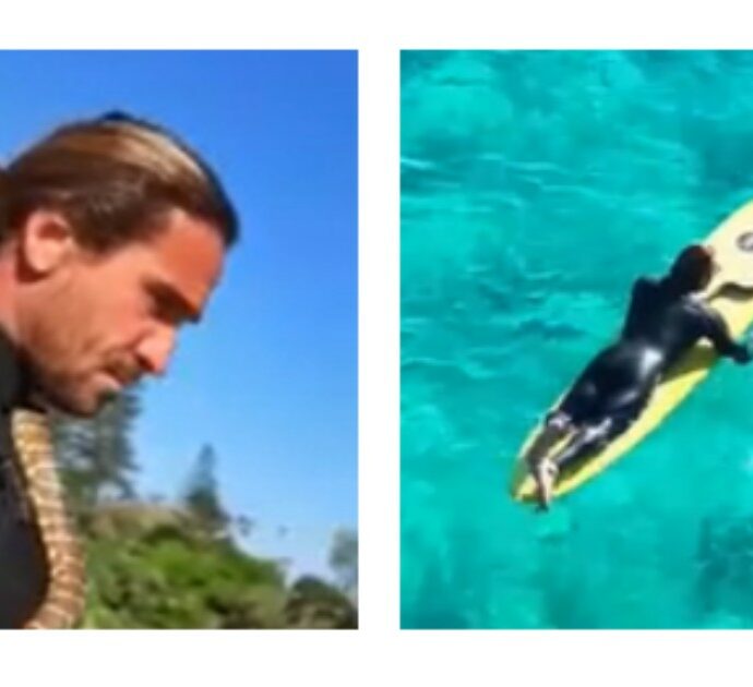 Surfista nuota con il suo pitone: accusato dagli animalisti e multato