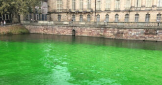 Copertina di Francia, ecoattivisti sversano colorante verde nei canali. Il sindaco: “Pesci morti”. Loro si difendono: “Prodotto innocuo”