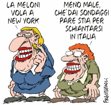 Copertina di La vignetta di Franzaroli