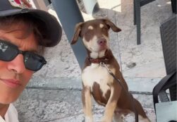 Copertina di Gabriel Garko salva un cane abbandonato in autostrada e se ne prende cura: il suo gesto commuove il web