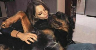 Copertina di 30enne viene sbranata dai suoi rottweiler, sui social scriveva: “Siete tutto il mio mondo”. Il caso riapre il dibattito: “Un cane può essere come un figlio?”