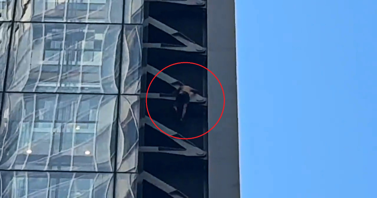 Scala un grattacielo di oltre 200 metri a torso nudo e senza attrezzatura: arrestato dalla polizia – Video