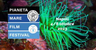 Copertina di Al Pianeta Mare Film Festival di Napoli parleremo di mostri, cinema e transizione ecologica