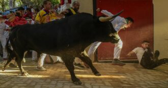 Copertina di Rimangono incastrati mentre fuggono dal toro lasciato libero per la corrida e vengono incornati: un morto e un ferito