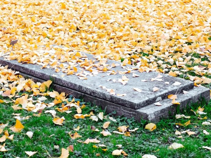 La Svezia prepara i cimiteri per 30mila soldati in caso di guerra con la Russia: pronti a seppellire il 5% della popolazione