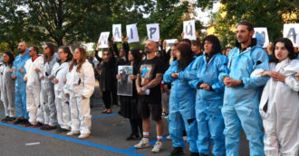 Copertina di Attivisti cantano ‘Bella ciao’ a Pavia, la protesta di fronte all’Ats dopo l’uccisione di nove maiali al rifugio ‘Cuori Liberi’