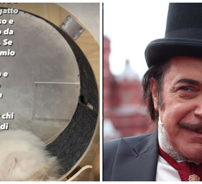 Nino Frassica perde il gatto durante le riprese di Don Matteo: “La ricompensa per chi ce lo riporta è di 5mila euro”