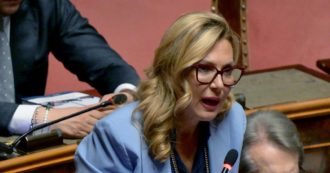 Copertina di Cani, Biancofiore li vuole in Senato e pressa La Russa