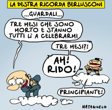 Copertina di La vignetta di Natangelo