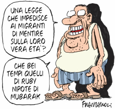 Copertina di La vignetta di Franzaroli