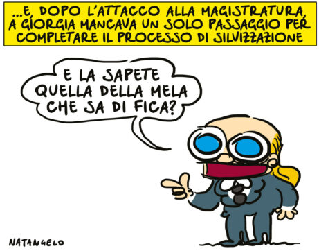 Copertina di La vignetta di Natangelo