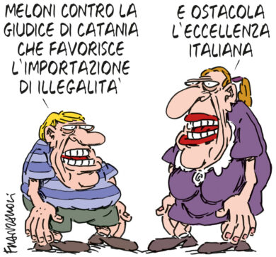 Copertina di La vignetta di Franzaroli