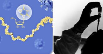Copertina di Non solo Covid, lo studio dell’Rna dei Nobel Karikó e Weissman permette la creazione di vaccini anche contro il cancro