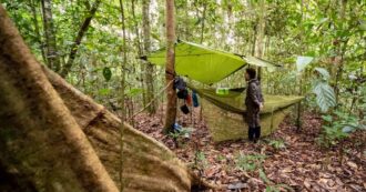 Copertina di Frammenti di Estinzione, piano per salvare il suono delle foreste (e specie animali) che vanno scomparendo