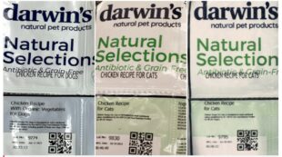 Copertina di Allarme salmonella nel cibo crudo di cani e gatti: ecco i lotti interessati e le linee guida dell’esperto per evitare contaminazioni