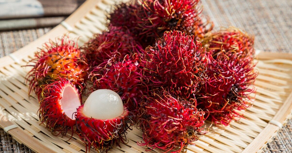 Cos’è il Rambutan, il super frutto tropicale dai benefici a 360° per la salute e per la pelle