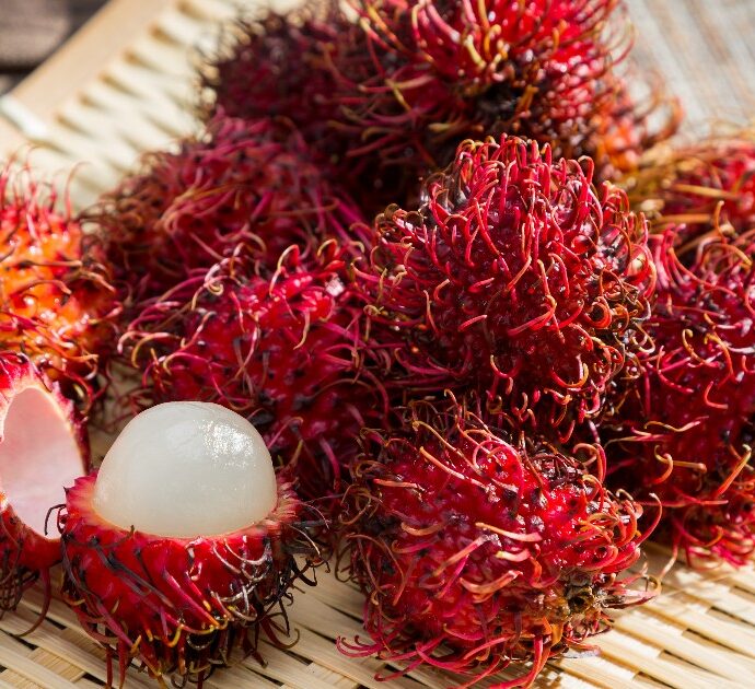 Cos’è il Rambutan, il super frutto tropicale dai benefici a 360° per la salute e per la pelle