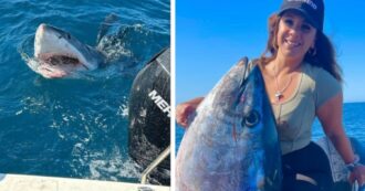 Copertina di Pescatrice cattura un tonno da 100 chili e uno squalo bianco sbuca fuori all’improvviso dall’acqua: “C’era sangue ovunque” – VIDEO