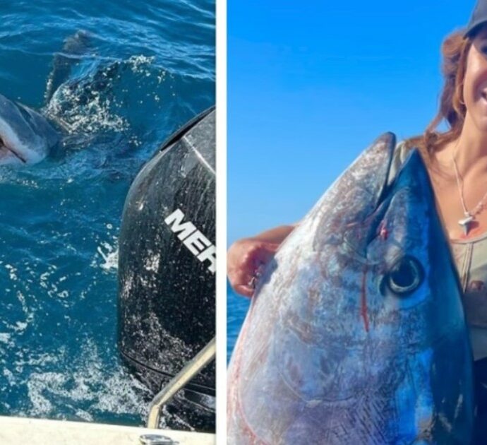 Pescatrice cattura un tonno da 100 chili e uno squalo bianco sbuca fuori all’improvviso dall’acqua: “C’era sangue ovunque” – VIDEO