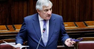 Copertina di Ilaria Salis, alla Camera l’informativa del ministro degli Esteri Tajani: segui la diretta tv