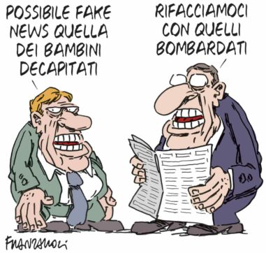 Copertina di La vignetta di Franzaroli