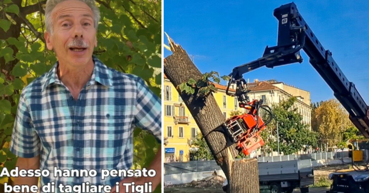 Giovanni Storti si arrampica sulla staccionata del cantiere mentre abbattono i tigli di piazzale Baiamonti a Milano: la protesta per salvare le piante