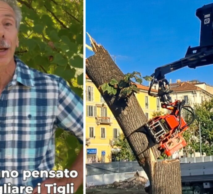 Giovanni Storti si arrampica sulla staccionata del cantiere mentre abbattono i tigli di piazzale Baiamonti a Milano: la protesta per salvare le piante