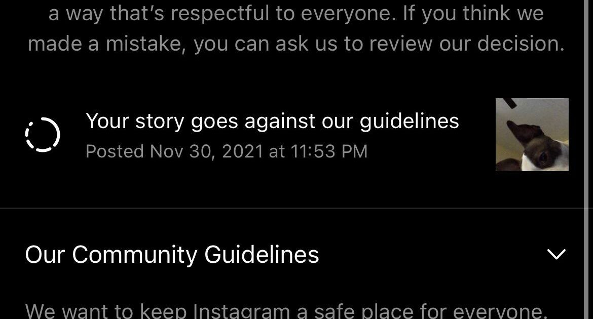 “I miei post sulla Palestina? Invisibili”: lo spettro dello ‘shadowban’ su Facebook, Instagram e TikTok. Le risposte dei colossi social