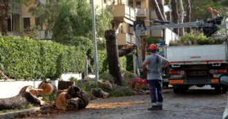 Copertina di Nubifragio a Livorno, alberi caduti e sradicati per il vento forte e la pioggia intensa: si contano i danni – Video