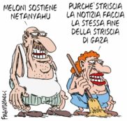 Copertina di La vignetta di Giorgio Franzaroli