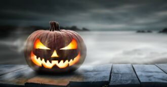 Copertina di Halloween, 8 proposte estreme: dalla “Notte degli Squali” ai castelli infestati e i party erotici a tema