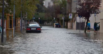 Copertina di Acqua alta a Grado: le strade del centro si trasformano in fiumi. Le immagini