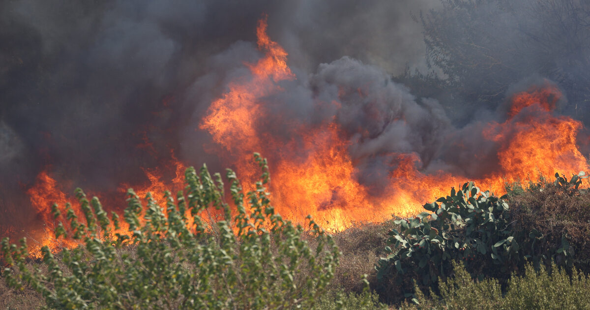 Notte Di Incendi Nel Palermitano Fiamme Sull A19 E Intorno Alle Case