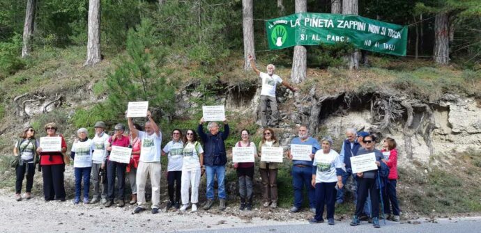 Contro gli incendi (che non ci sono), il Parco Nazionale d’Abruzzo vuole tagliare i pini protetti di Villetta Barrea. Maraini: “Illogico”