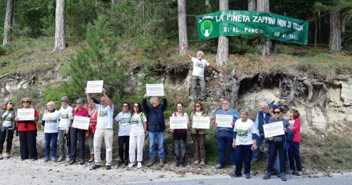 Contro gli incendi (che non ci sono), il Parco Nazionale d’Abruzzo vuole tagliare i pini protetti di Villetta Barrea. Maraini: “Illogico”