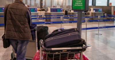 Copertina di Cani, gatti e animali domestici potranno viaggiare nella cabina degli aerei: le nuove direttive dell’Enac