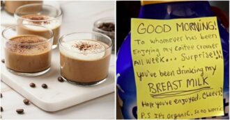 Copertina di Latte materno al posto della crema al caffè, la vendetta della neomamma contro i colleghi: “Ecco cosa avete bevuto davvero”